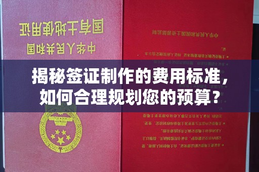 涞源揭秘签证制作的费用标准，如何合理规划您的预算？