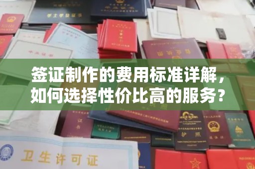 涞源签证制作的费用标准详解，如何选择性价比高的服务？