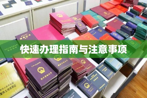 涞源快速办理指南与注意事项